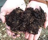 images_111